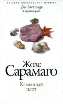 Обложка книги Каменный плот