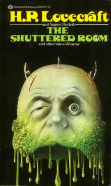 Обложка книги Тень в мансарде