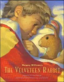 Обложка книги Бархатный Кролик