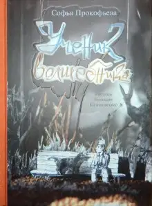 Обложка книги Ученик волшебника