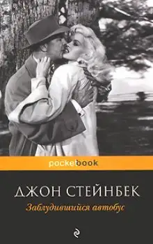 Обложка книги Заблудившийся автобус