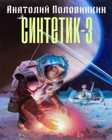 Обложка книги Синтетик-3
