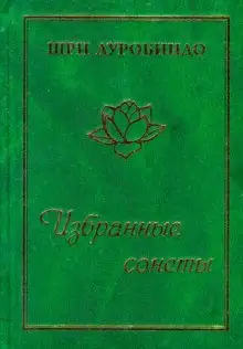 Обложка книги Избранные сонеты