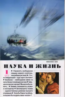 Обложка книги Типичный представитель