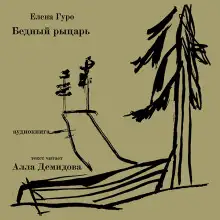 Обложка книги Бедный рыцарь