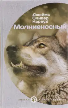 Обложка книги Молниеносный