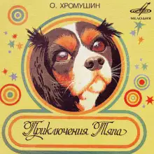 Обложка книги Приключения Тяпа