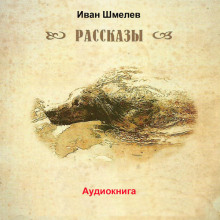 Обложка книги Последний выстрел