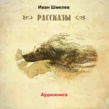 Обложка книги Последний выстрел