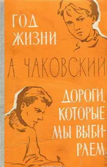 Обложка книги Год жизни. Дороги, которые мы выбираем