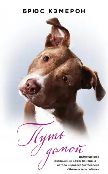 Обложка книги Путь домой