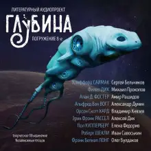 Обложка книги ГЛУБИНА. Погружение 8-е