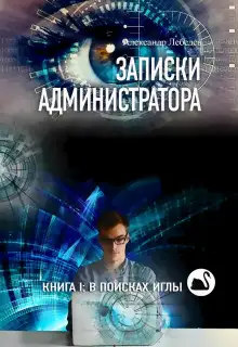 Обложка книги В поисках иглы