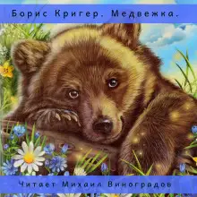 Обложка книги Медвежка. Сказка для взрослых