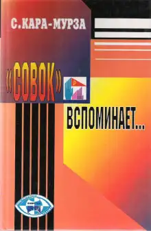 Обложка книги «Совок» вспоминает свою жизнь