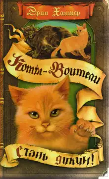 Обложка книги Стань диким