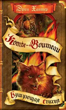 Обложка книги Бушующая стихия