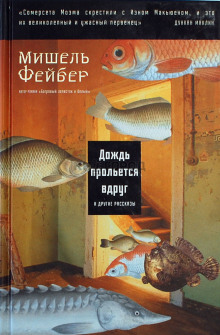 Обложка книги Дождь прольется вдруг и другие рассказы