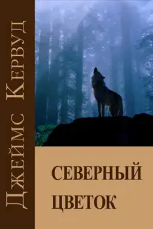 Обложка книги Северный цветок