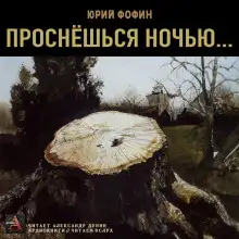 Обложка книги Проснёшься ночью...