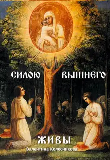 Обложка книги Пресвятая Казанская