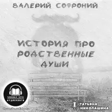 Обложка книги История про родственные души