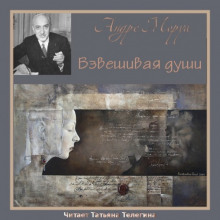 Обложка книги Взвешивая души