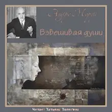 Обложка книги Взвешивая души