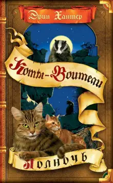 Обложка книги Полночь