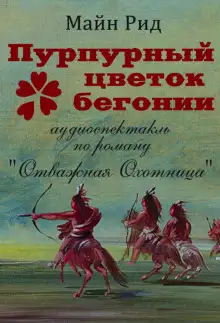 Обложка книги Пурпурный цветок бегонии