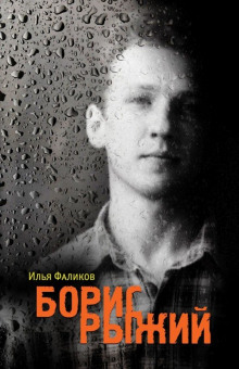 Обложка книги Борис Рыжий. Дивий Камень