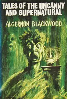 Обложка книги Двойник