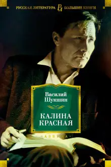 Обложка книги Сапожки