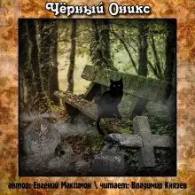 Обложка книги Чёрный Оникс