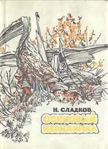 Обложка книги Осиновый невидимка