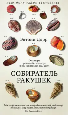 Обложка книги Собиратель ракушек