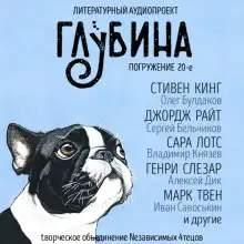 Обложка книги ГЛУБИНА. Погружение 20-е