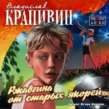 Обложка книги Ржавчина от старых якорей