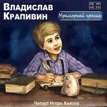 Обложка книги Мраморный кролик