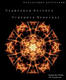 Обложка книги Огненная Немезида