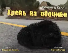 Обложка книги Хрень на обочине