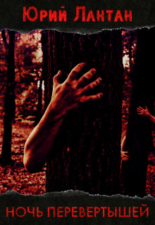 Обложка книги Ночь перевёртышей