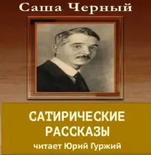 Обложка книги Сатирический рассказы