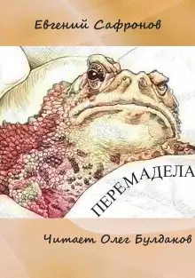 Обложка книги Перемадела