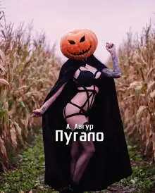 Обложка книги Пугало