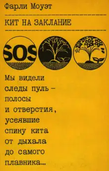 Обложка книги Кит на заклание