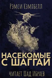 Обложка книги Насекомые с Шаггаи