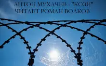 Обложка книги Кози