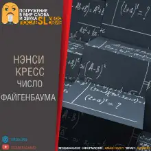 Обложка книги Число Файгенбаума