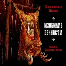 Обложка книги Изобилие вечности